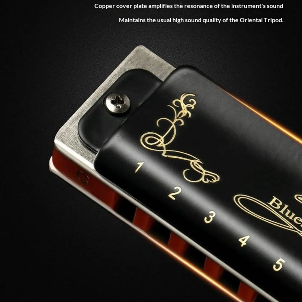 EASTTOP 008K 10 Hole Blues Harmonica Multi-Key Copper Cover Phosphor Bronze Reeds for Blues Country Jazz - A Key  /  Black - 5