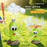DB25818 Cactus-Shaped Water Sprinkler Toy with Baseball Set Automatic Rotating Spray Water Play Toy for Outdoor - 2