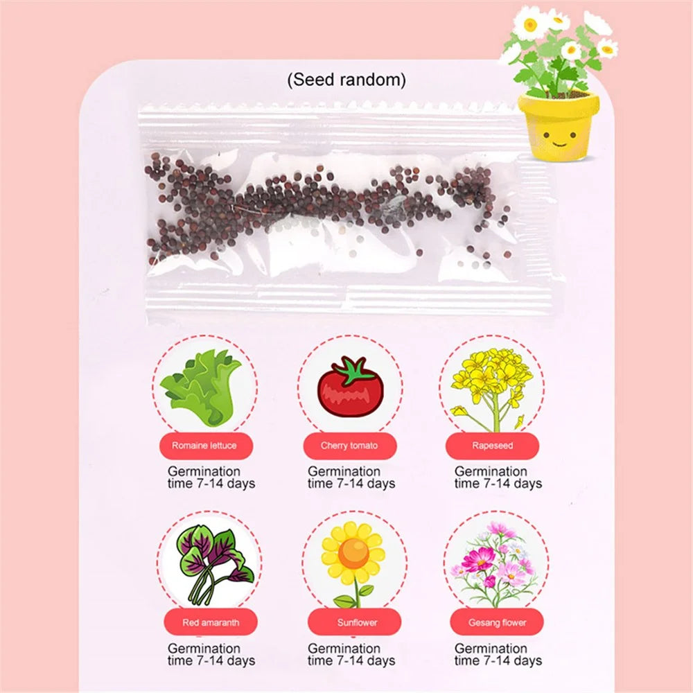 15Pcs / Set Garden Planting Growing Kit Flower Pot Seeds Soil Interactive Toys Kit Kids Gift ST - 4
