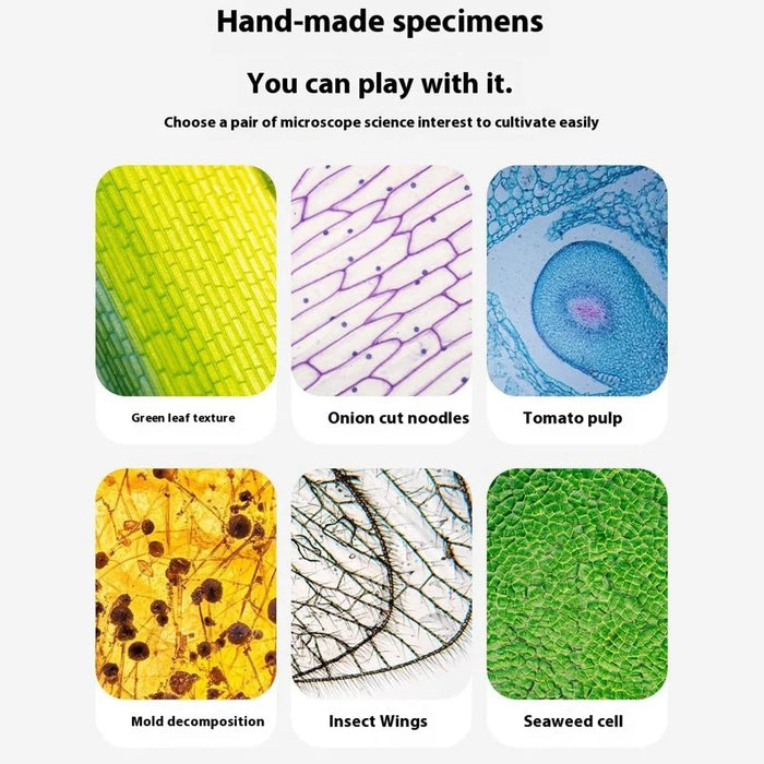2507 Portable Handheld Microscope with Stand for Kids 180X Magnification STEM Optical Microscope Educational Tool - Brown - 6