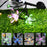 2Pcs Solar Cherry Flower 20-LED Light Outdoor Garden Yard Lawn Landscape Lamp - 4