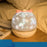 Star Light Projector Moon Lamp Starry Night Light LED Lamp USB Bedroom Party Rechargeable Light (Charging + Music Box Type) - 5