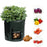 Portable Durable Planting Container Bag - 1