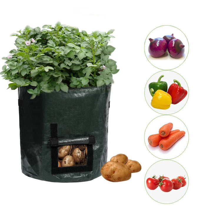Portable Durable Planting Container Bag - 1