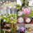 6cm Clear Plastic Ball Christmas Decoration Hanging Ball - 2