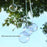 6cm Clear Plastic Ball Christmas Decoration Hanging Ball - 3