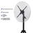 3D Holographic Projection Advertising Machine Protective Cover Transparent Acrylic for 56cm Fan - 2