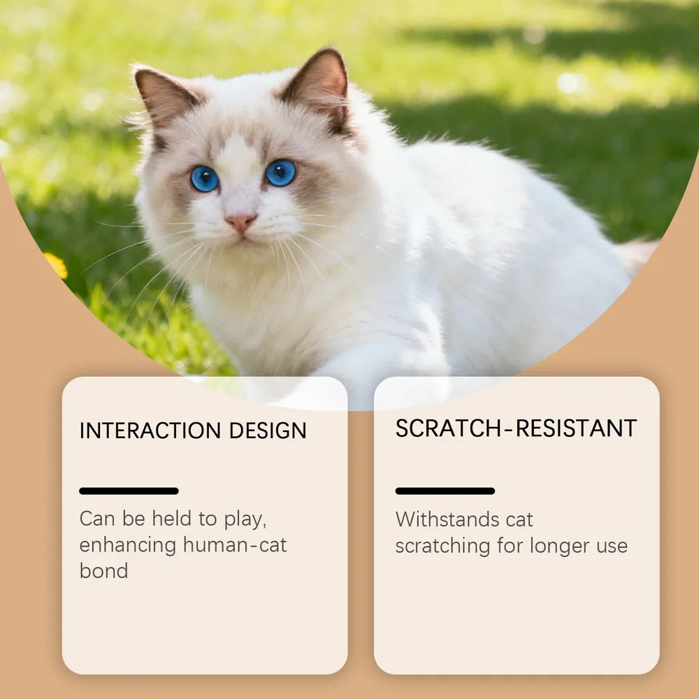 EELJOY 4Pcs Rattan Cat Toy Balls Scratch Resistant Interactive Stress Relief Toy for Kitten - 4-Piece Set - 5