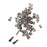 OEM Full Screw Set Replacement Parts for iPhone 8 4.7 inch - Black - 1