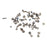 OEM Full Screw Set Replacement Parts for iPhone 6s Plus - Silver Color - 1