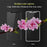 IMAK Pro+ Full Coverage Anti-explosion Tempered Glass Screen Protector for iPhone (2019) 5.8" / XS / X/10 - Black - 3