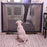 Pet Isolation Net Folding Enclosure Pet Safety Door 180*76cm - 4