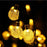 6.5m 30-LED Solar String Ball Lights Outdoor Waterproof Warm White Light Garden Decor - Gold - 2