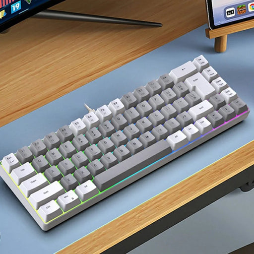 Y-FRUITFUL K701 68 Keys Wired Keyboard with RGB Light Mechanical Gaming Keyboard - White+Grey - 1