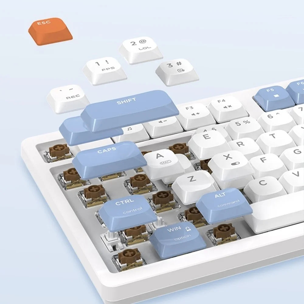 AJAZZ AKP815 81 Keys Low Profile Mechanical Keyboard with 4.95 Inch LCD Color Screen RGB Light Wired Keyboard - Brown Switch / Blue+White+Orange - 5