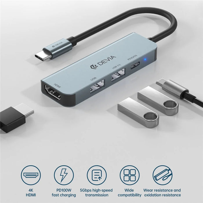 DEVIA EC136 Leopard Series 4-in-1 Hub Adapter Type-C to PD+USB2.0+USB3.0+HD Docking Station (Updated) - 2