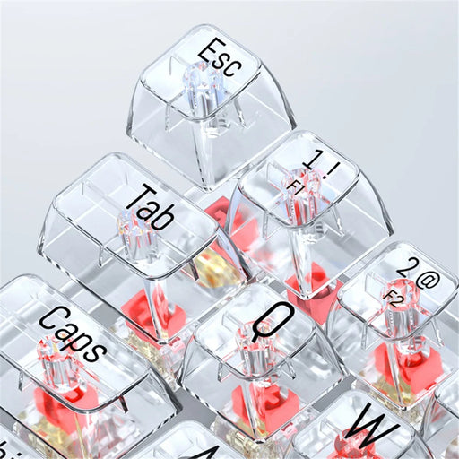 T-WOLF T40 150cm Wired Mechanical Keyboard with Clear Keycaps - Transparent Red - 2