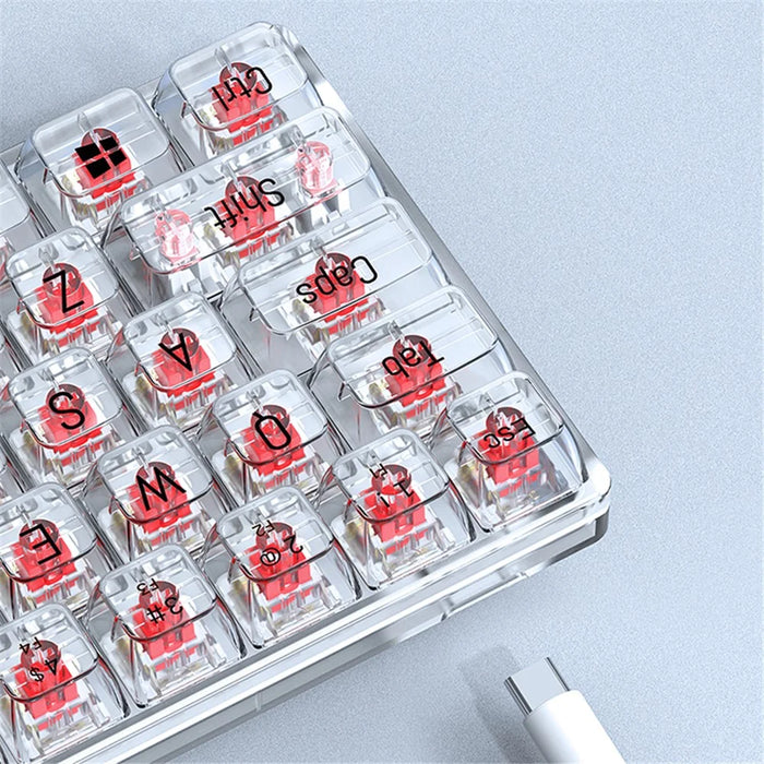 T-WOLF T40 150cm Wired Mechanical Keyboard with Clear Keycaps - Transparent Red - 4