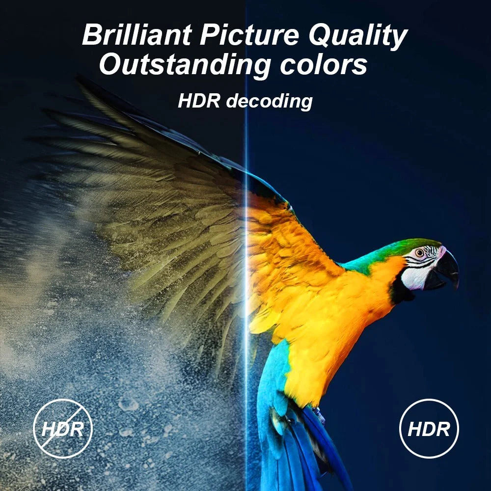 H20 Pro 2+8GB Quad Core CPU H313 TV Box Dual Band WiFi 4K Ultra HD Player - 5