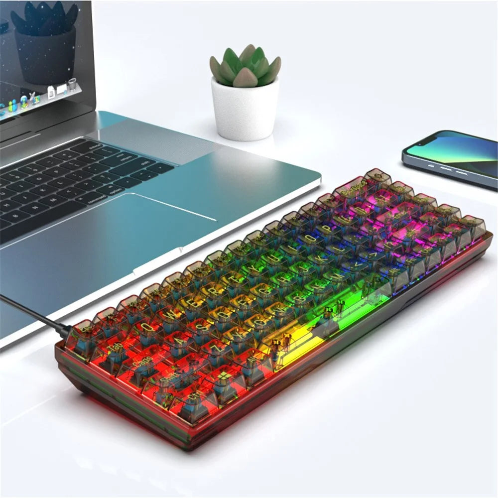 Y-FRUITFUL K60 68 Keys Type-C Wired Mechanical Keyboard RGB Light Transparent Keycaps Gaming Keyboard - Transparent Black+Blue Switch - 1