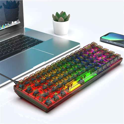 Y-FRUITFUL K60 68 Keys Type-C Wired Mechanical Keyboard RGB Light Transparent Keycaps Gaming Keyboard - Transparent Black+Blue Switch - 1