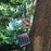 360 Degree Adjustable Ball Head Tree Mount Camera Bracket for Outdoor Hunting Trail Camera - Black - 3