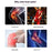 YF-JS024 1Pc Outdoor Knee Brace Patella Support Shock Absorption Meniscus Protection Cycling Basketball Running Knee Guard - 2