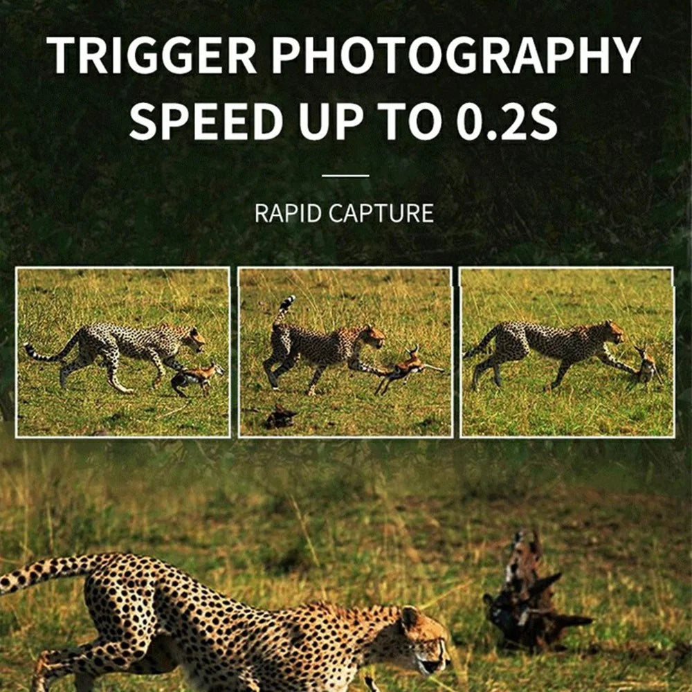 DL005 Outdoor Night Vision Wildlife Monitoring Hunting Camera 1080P HD PRI Infrared Trail Camera - 7