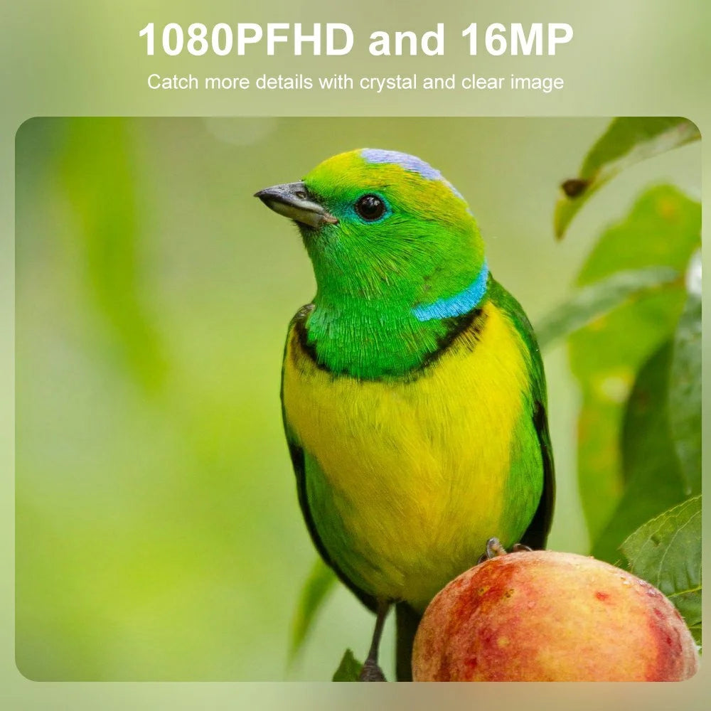 DL006 IP66 Waterproof 1080P HD Infrared Trail Cam Outdoor Night Vision Wildlife Monitoring Hunting Camera - 7