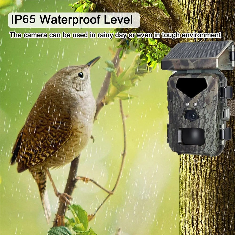 Mini700 Infrared Camera 20MP / 1080P Hunting Tracking Camera Outdoor Wildlife Animal Tracking Camera - 7