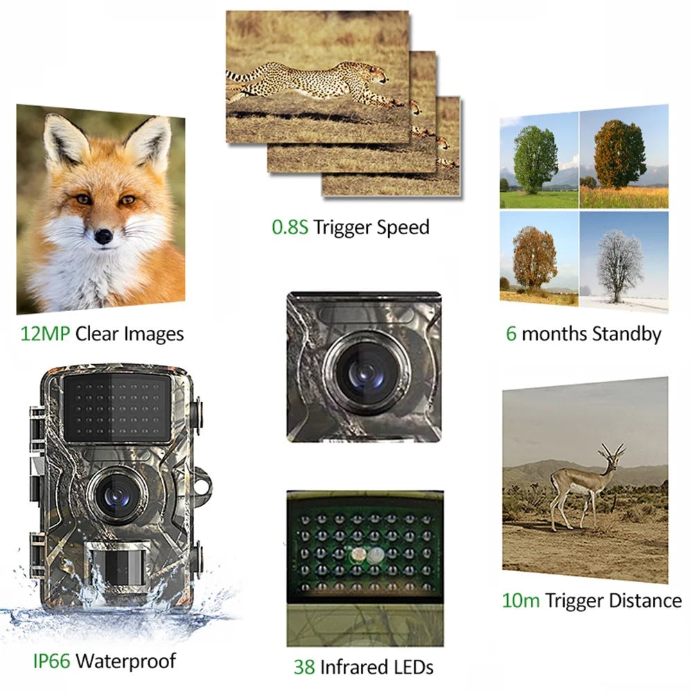 DL001 12MP 2.0-inch LCD Outdoor Hunting Trail Camera IR Night Vision Waterproof Scouting Camera - 6