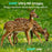 PR901 5K 60MP Hunting Camera IP66 Waterproof Night Vision Outdoor Wildlife Trail Camera - 7