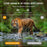 BST880 4K HD Hunting Camera Motion Detection Infrared Night Vision Wildlife Monitoring Cam (No Battery) - 3