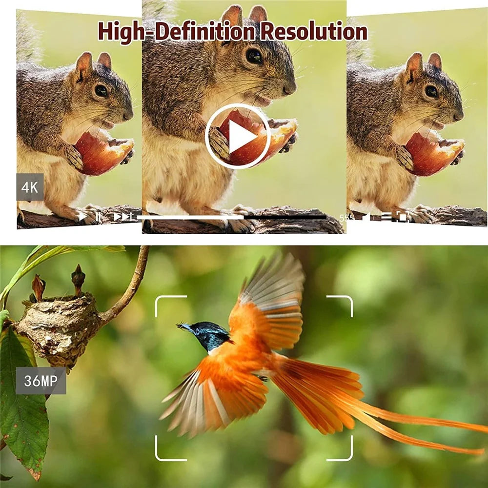 BST883W Wildlife Monitoring Outdoor Night Vision Camera 4K WIFI Infrared Animal Tracking Hunting Camera - Leaves Color - 7