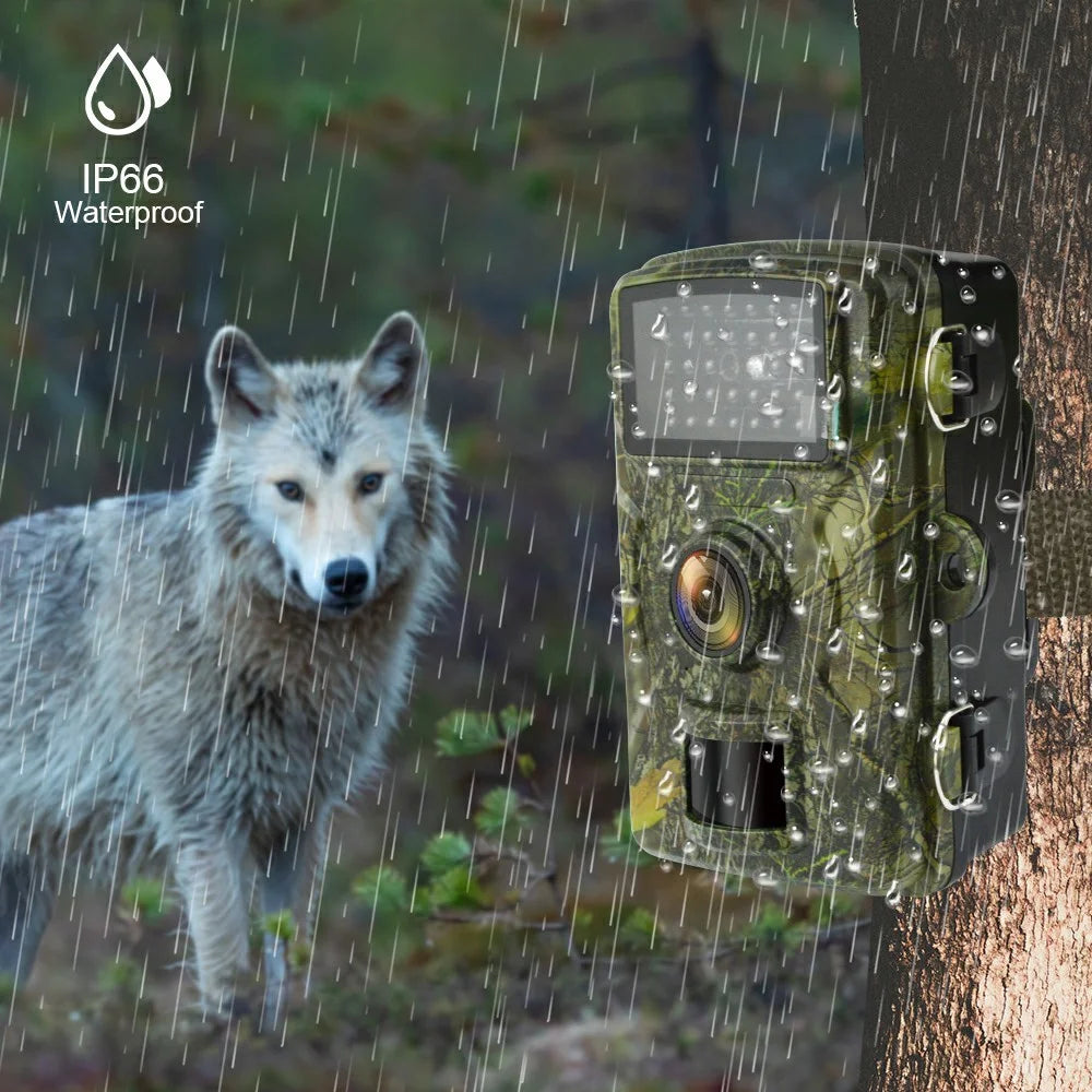 DL001 Hunting Trail Camera IP66 Waterproof Infrared Night Vision Camera for Orchard Farm Monitoring - 4