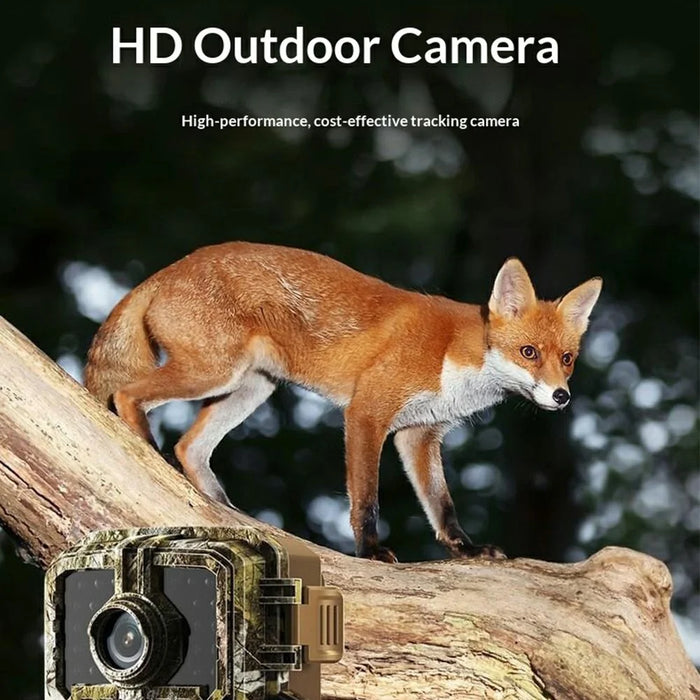 DL003 Hunting Camera HD Infrared Wildlife Recorder Outdoor Waterproof Night Vision PIR Motion Sensor Camera - 7