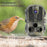 DL002 Infrared Trail Camera HD Night Vision Waterproof Wildlife Monitoring Wide Angle Hunting Camera - 4