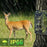 PR802LTE 4G LTE Trail Camera 60MP 4K Night Vision IP66 Waterproof Hunting Camera for Wildlife Scouting - 6