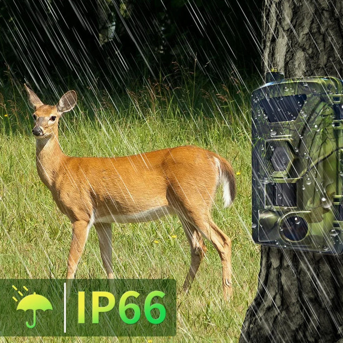PR802LTE 4G LTE Trail Camera 60MP 4K Night Vision IP66 Waterproof Hunting Camera for Wildlife Scouting - 6