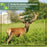 PR802LTE 4G LTE Trail Camera 60MP 4K Night Vision IP66 Waterproof Hunting Camera for Wildlife Scouting - 7