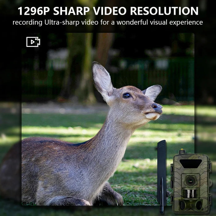 PR803LTE 4G Trail Camera 60MP 1296P HD Night Vision Hunting Camera with App Remote Monitoring for Wildlife Scouting - 6