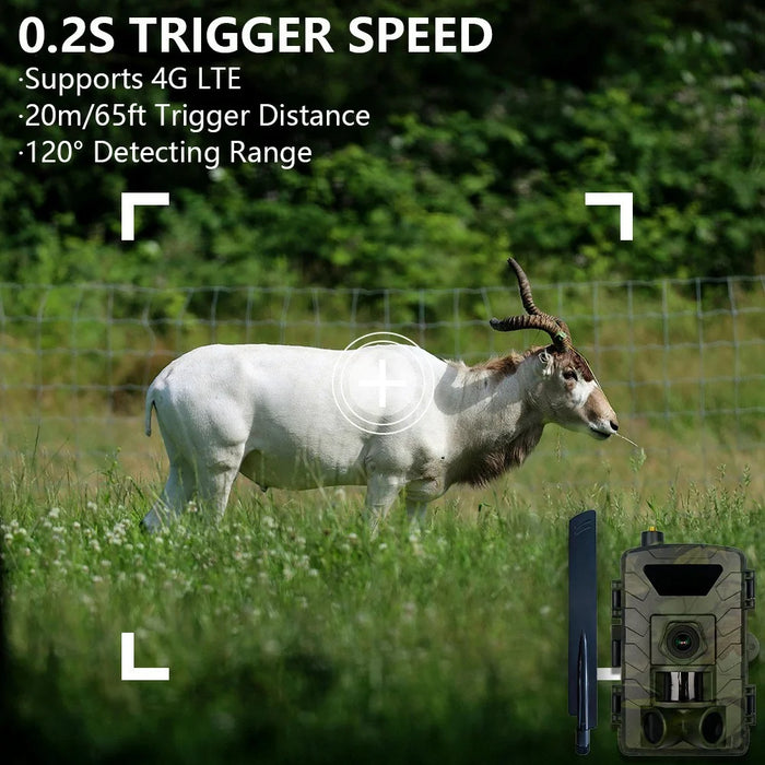 PR803LTE 4G Trail Camera 60MP 1296P HD Night Vision Hunting Camera with App Remote Monitoring for Wildlife Scouting - 7