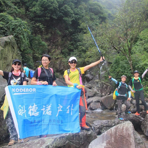 KODENOR 5-Section Aluminum Alloy Trekking Pole Camping Hiking Walking Stick for 145-170CM Height People - Blue - 2