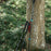 KODENOR 52-110CM Telescopic Walking Stick High-Strength Carbon Fiber 3-Section Trekking Pole for Children - Blue - 3