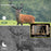 PR801 Ultra Clear 8K Infrared Wildlife Trail Camera Night Vision Hunting Camera - 6