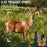 PR801LTE 4G LTE Trail Camera IP66 Waterproof 8K 60MP Wildlife Hunting Camera with Night Vision PIR Motion Detection - EU Version - 7