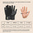 GOUNOD GL045 Full Finger Fitness Gloves Breathable Wrist Support Weightlifting Gloves Size M - 5