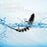 3Pcs 10cm 15g Fishing Lures Set Multi-Jointed Crankbait Hard Bait Artificial Lure with Storage Box - B - 5