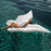 230x210cm Giant Butterfly Wings Inflatable Pool Float PVC Angel Wings Swimming Lounger for Pool Beach - White - 2