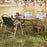 SHINETRIP A375 Camping Portable Folding Beech Wood Chair Beach Chair Outdoor Chair for Hiking Traveling - Green - 5